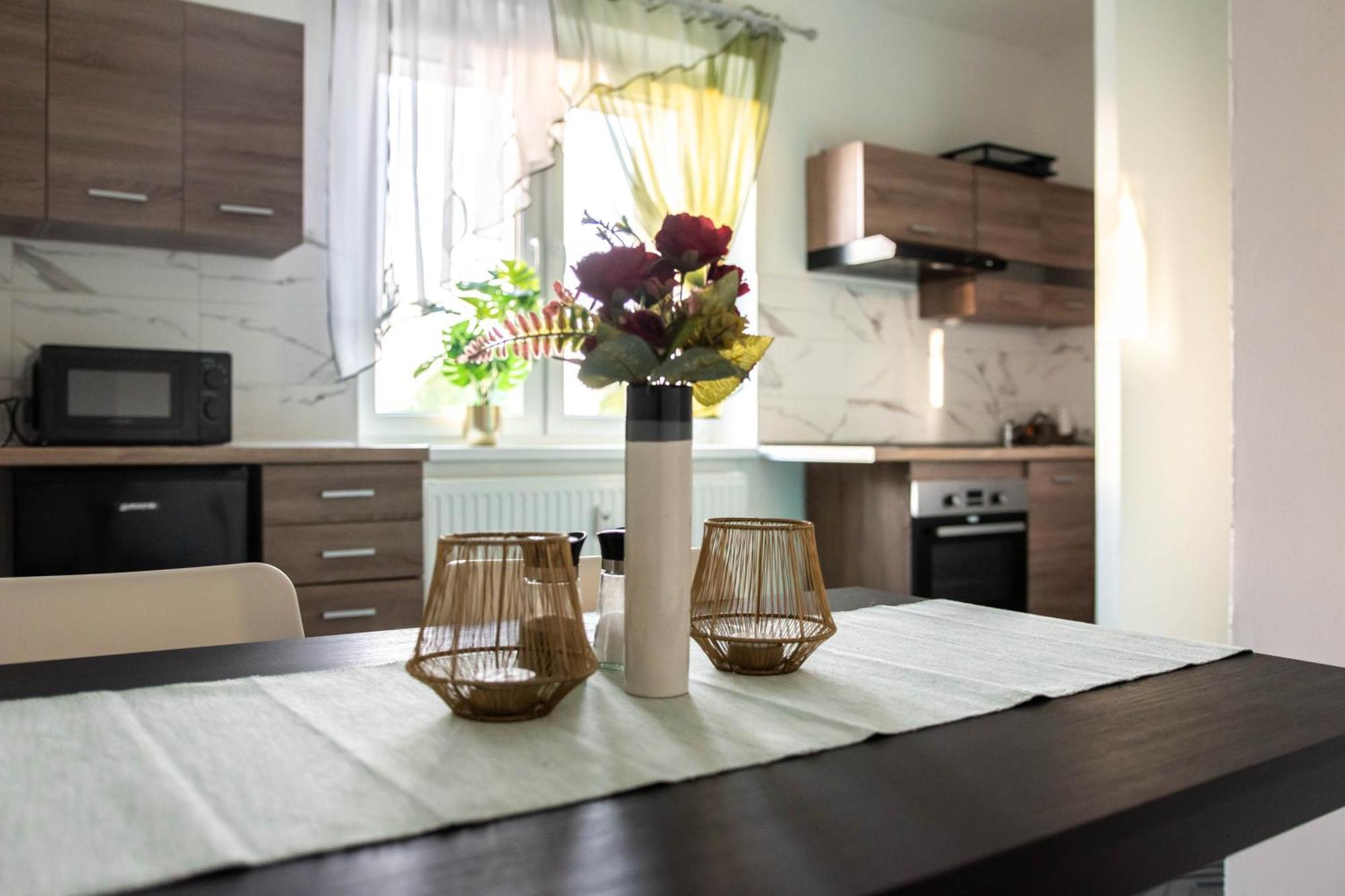 Apartma Vrbice Bohumín エクステリア 写真